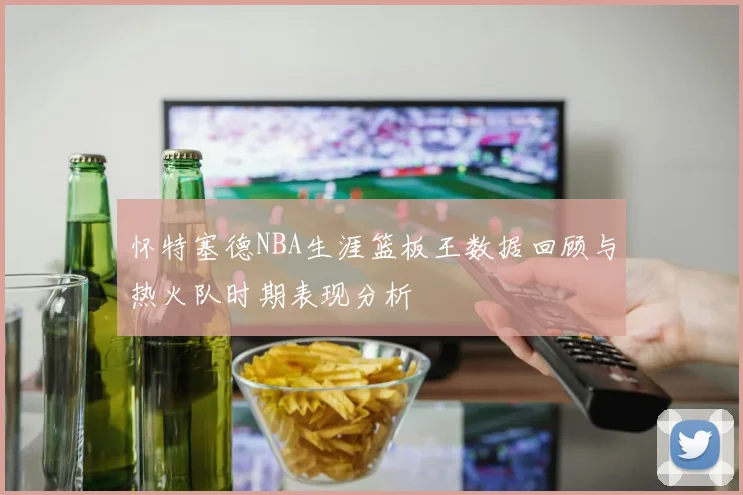 怀特塞德NBA生涯篮板王数据回顾与热火队时期表现分析