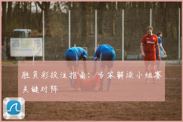 胜负彩投注指南:专家解读小组赛关键对阵