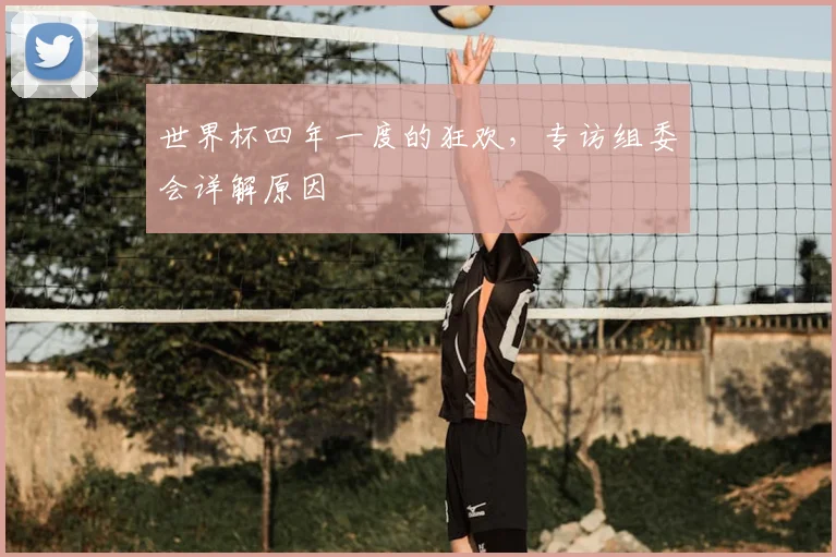 世界杯四年一度的狂欢，专访组委会详解原因