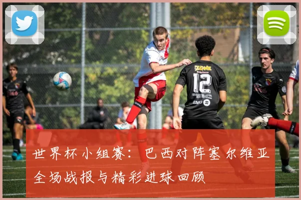 世界杯小组赛:巴西对阵塞尔维亚全场战报与精彩进球回顾